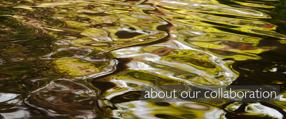 about-our-collaboration-banner