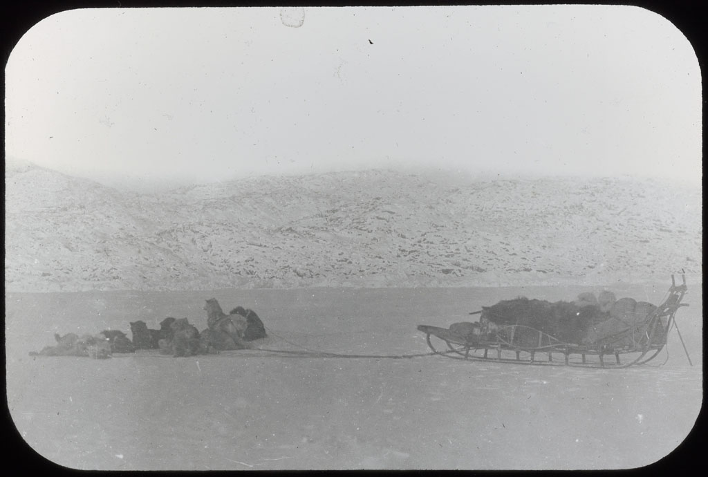 Donald Baxter MacMillan; Dog team 1914/Crockerland Expedition; 1914; image; silver gelatin on glass; 10.16 cm x 8.26 cm x 0.64 cm (4 in. x 3 1/4 in. x 1/4 in.); TGM; North America