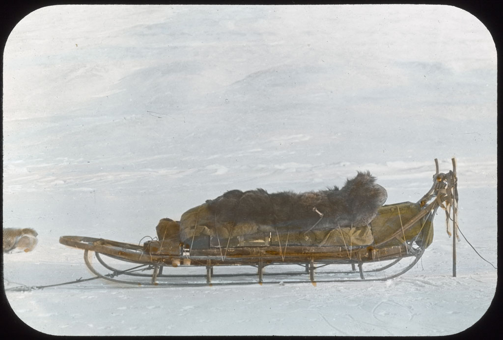 Donald Baxter MacMillan; Lying on load on return of Crockerland Expedition; 1913-1917; image; silver gelatin on glass; 10.16 cm x 8.26 cm x 0.64 cm (4 in. x 3 1/4 in. x 1/4 in.); TGM; North America