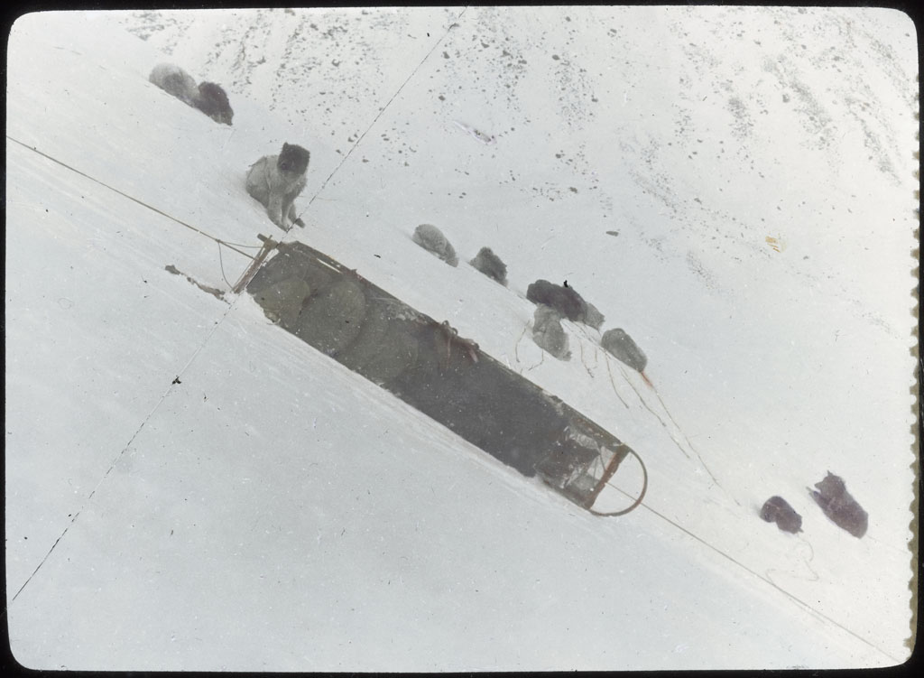 Donald Baxter MacMillan; Descending Bertstaat Glacier, Crockerland Expedition; 1913-1917; image; silver gelatin on glass; 10.16 cm x 8.26 cm x 0.64 cm (4 in. x 3 1/4 in. x 1/4 in.); TGM; North America