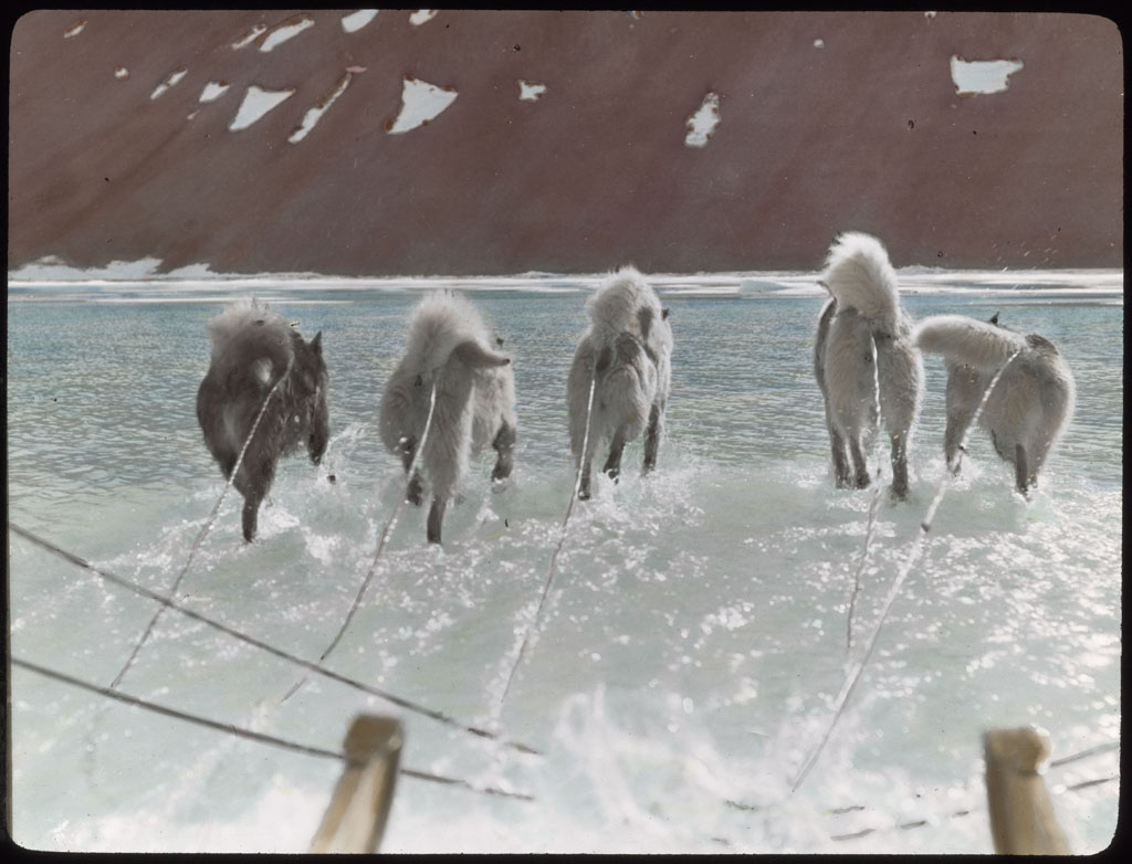 Donald Baxter MacMillan; Sledging in the Spring; 1913-1917; image; silver gelatin on glass; 10.16 cm x 8.26 cm x 0.64 cm (4 in. x 3 1/4 in. x 1/4 in.); TGM; North America