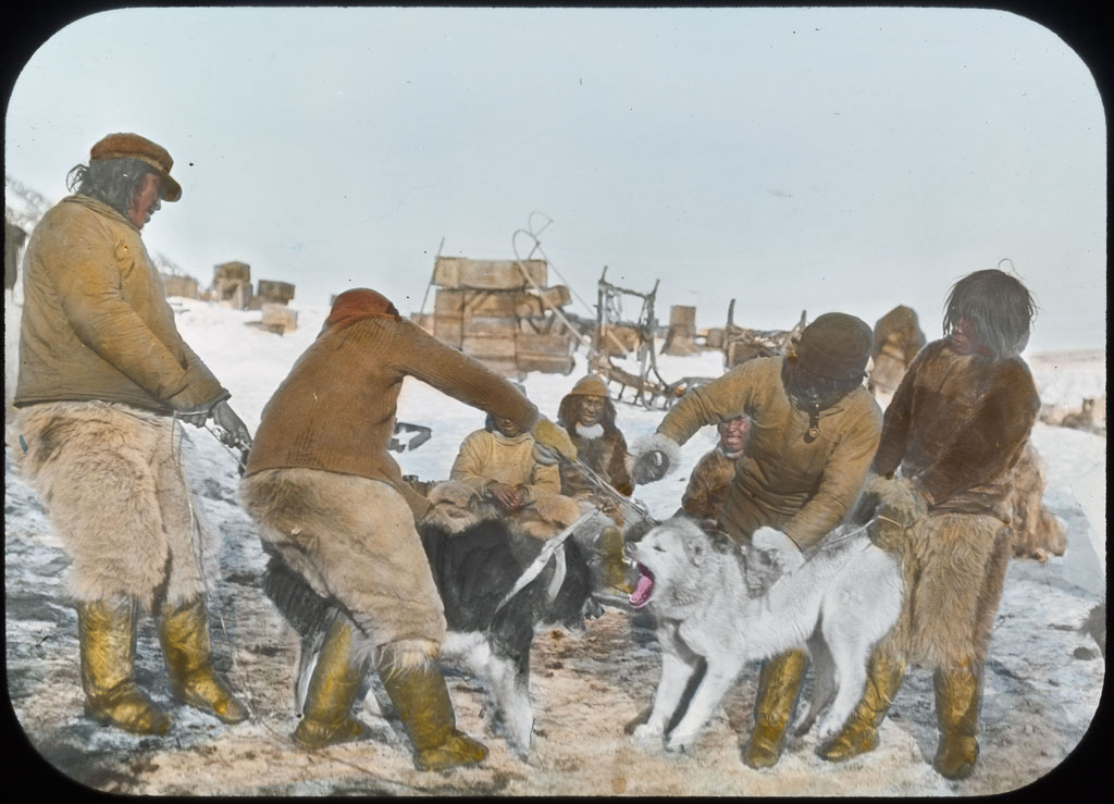 Donald Baxter MacMillan; Making Dogs Fight; 1913-1917; image; silver gelatin on glass; 10.16 cm x 8.26 cm x 0.64 cm (4 in. x 3 1/4 in. x 1/4 in.); TGM; North America