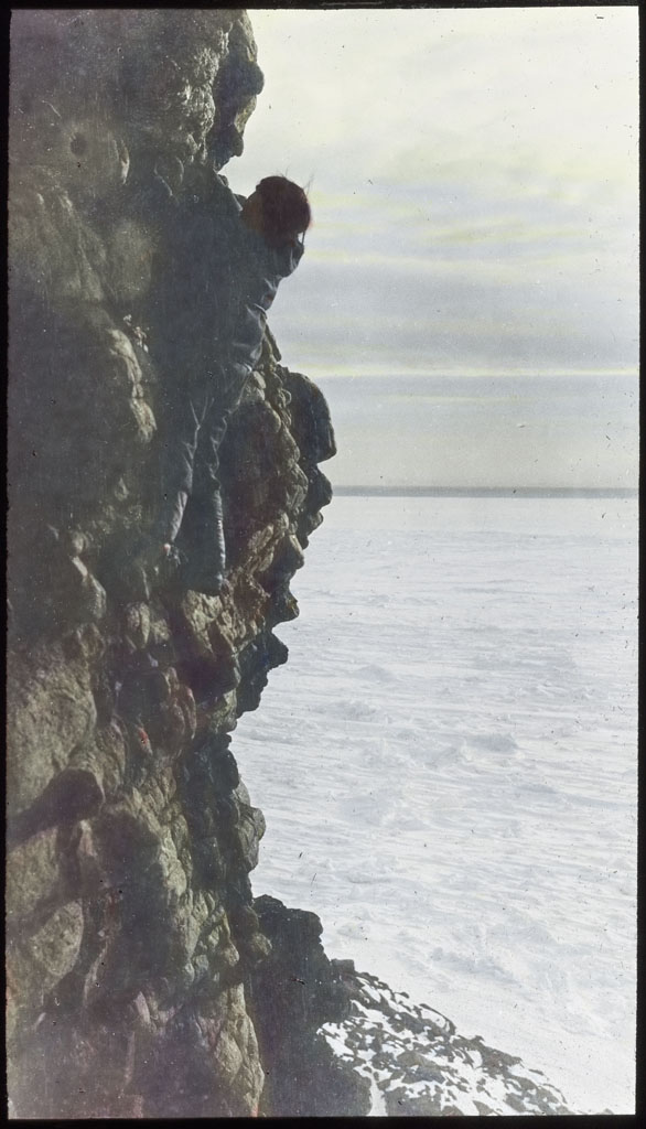 Donald Baxter MacMillan; Climbing Cliff after eggs of Black Guillemot; 1913-1917; image; silver gelatin on glass; 10.16 cm x 8.26 cm x 0.64 cm (4 in. x 3 1/4 in. x 1/4 in.); TGM; North America