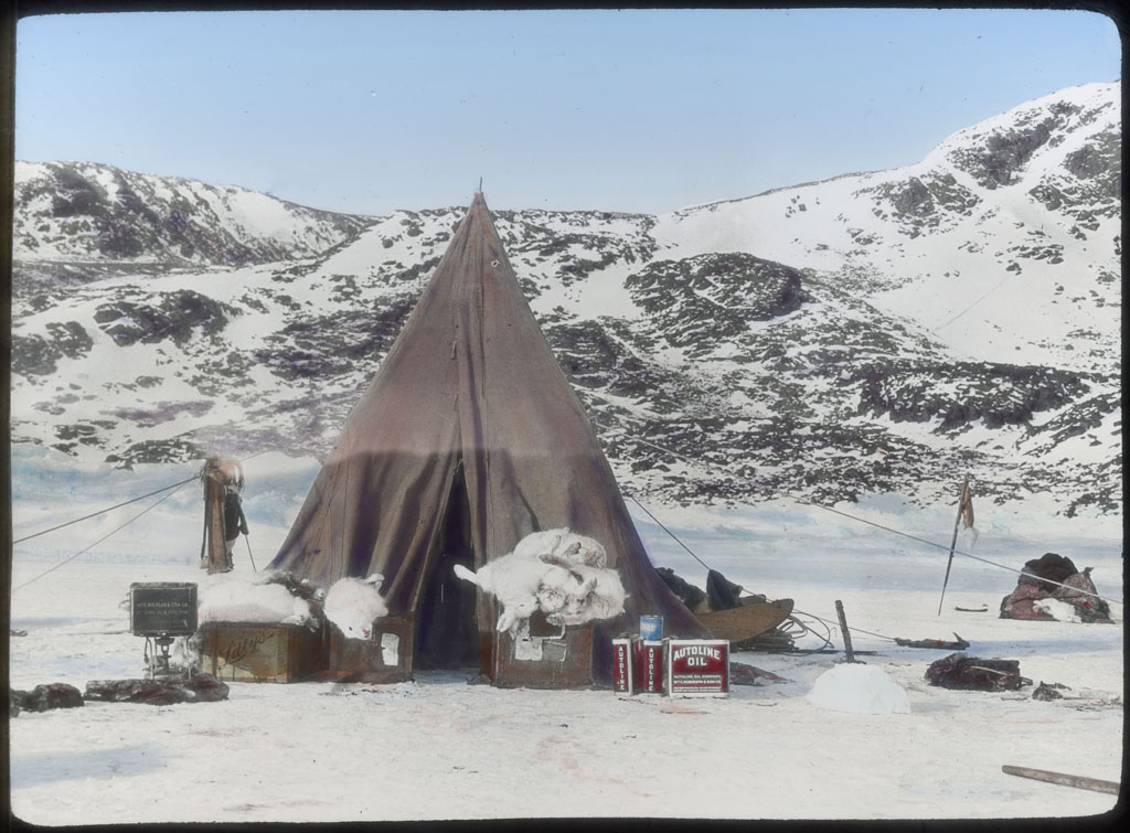 Donald Baxter MacMillan; Tent pitched, Arctic hare; 1913-1917; image; silver gelatin on glass; 10.16 cm x 8.26 cm x 0.64 cm (4 in. x 3 1/4 in. x 1/4 in.); TGM; North America