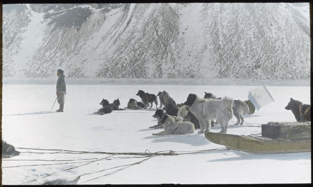 Donald Baxter MacMillan; Dog teams watching man crawling toward seal; 1913-1917; image; silver gelatin on glass; 10.16 cm x 8.26 cm x 0.64 cm (4 in. x 3 1/4 in. x 1/4 in.); TGM; North America