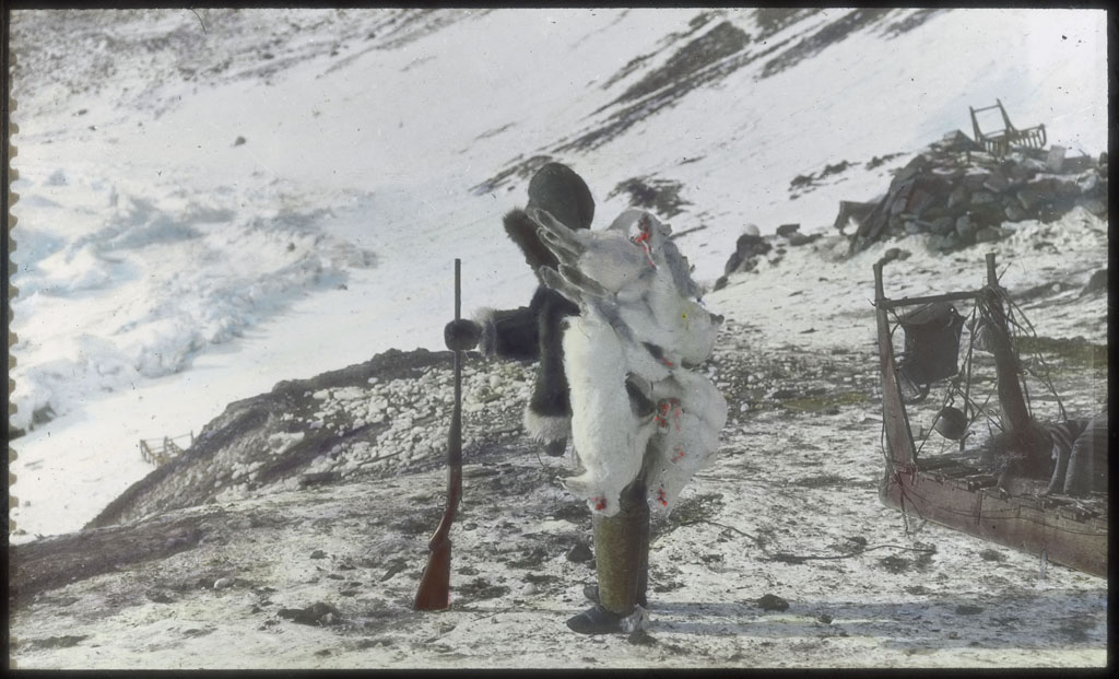 Donald Baxter MacMillan; Ah-na-we with back load of arctic hare at Etah; April, 1915; image; silver gelatin on glass; 10.16 cm x 8.26 cm x 0.64 cm (4 in. x 3 1/4 in. x 1/4 in.); TGM; North America