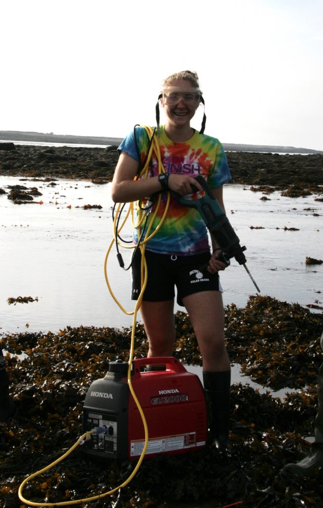 setting up intertidal temperature data loggers