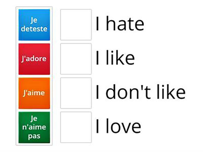 French Likes & Dislikes