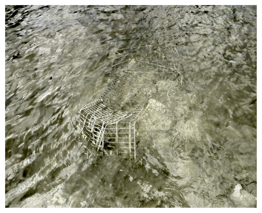 Submerged Cart, Auburn, 2010