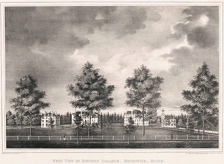 Who was the First U.S. Economics Professor?